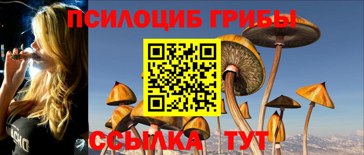 Галлюциногенные грибы Psilocybe Ленинск-Кузнецкий