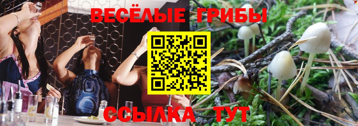 Псилоцибиновые грибы ЛСД  Вход с VPN  Ленинск-Кузнецкий  Галлюциногенные грибы Psilocybe 